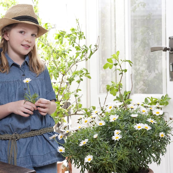 Basteln, Gürtel, Makramee, knüpfen