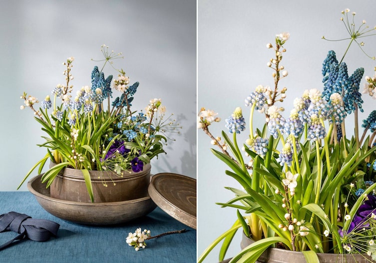 Blumenarrangement mit Traubenhyazinten, Stiefmütterchen, Vergissmeinicht