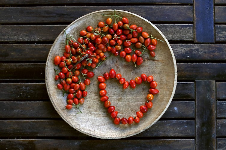 Dekoherz mit Hagebutten (Foto: Luana Baumann-Fonseca)