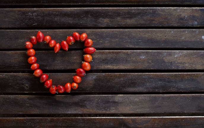 Dekoherz mit Hagebutten (Foto: Luana Baumann-Fonseca)