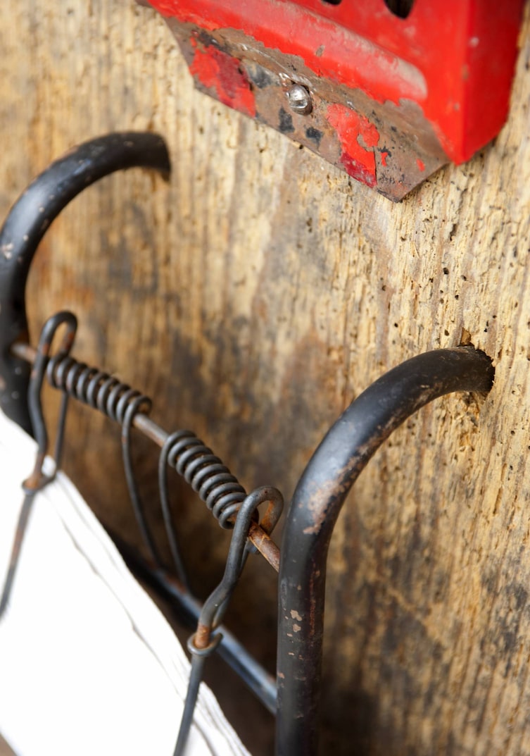 Selbermachen, Basteln, Fundstück, Gepäckträger, Zeitungshalter