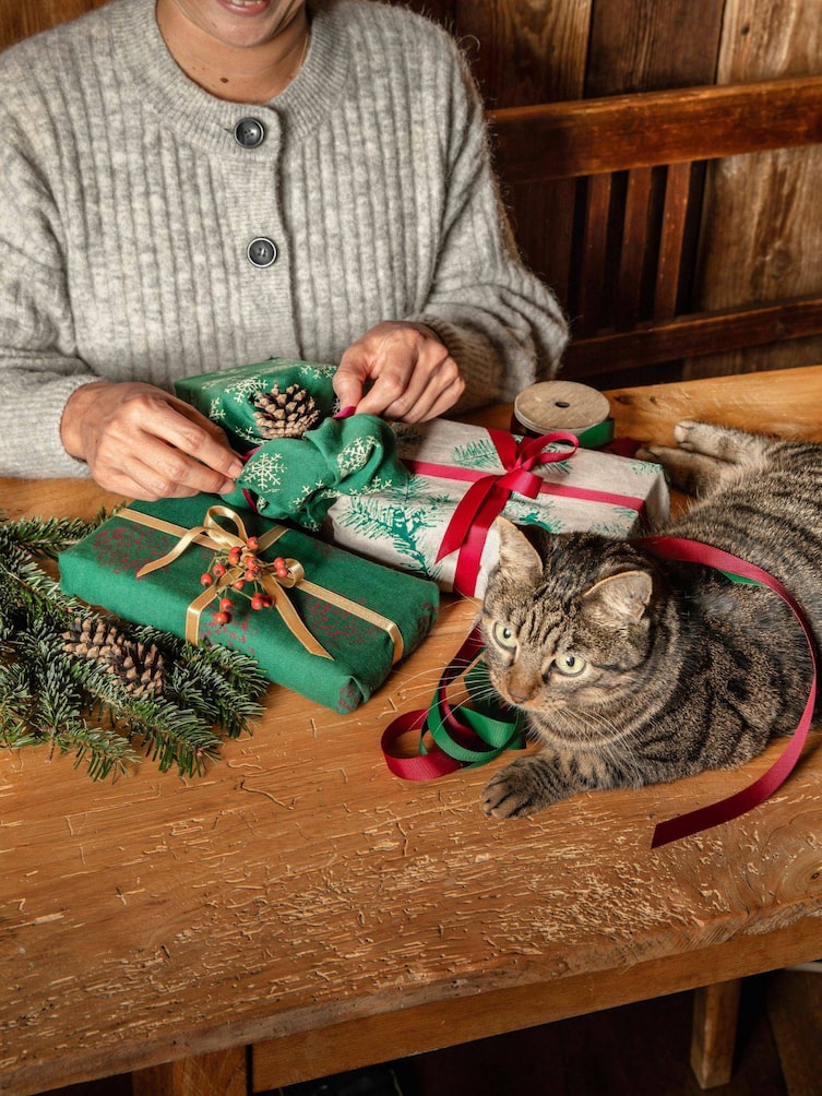 Geschenke einpacken mit Katze