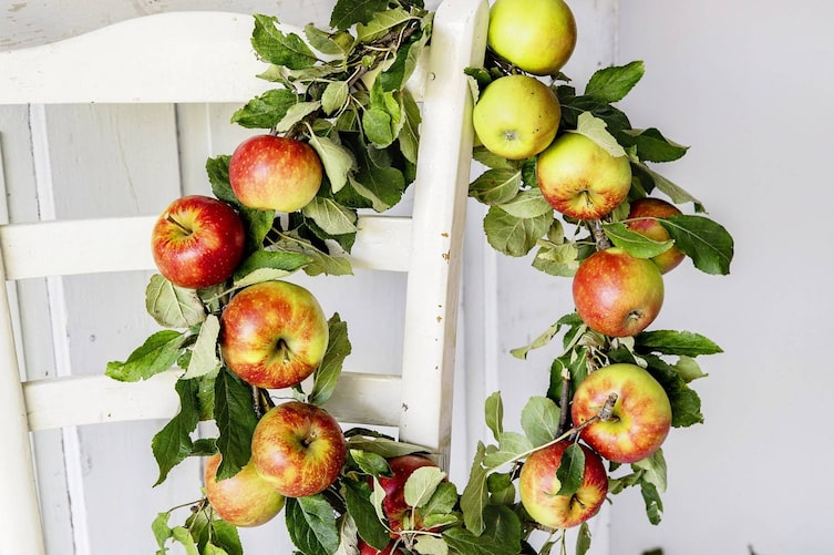 Deko-Kranz mit Äpfeln (Bild: Michaela Gabler)