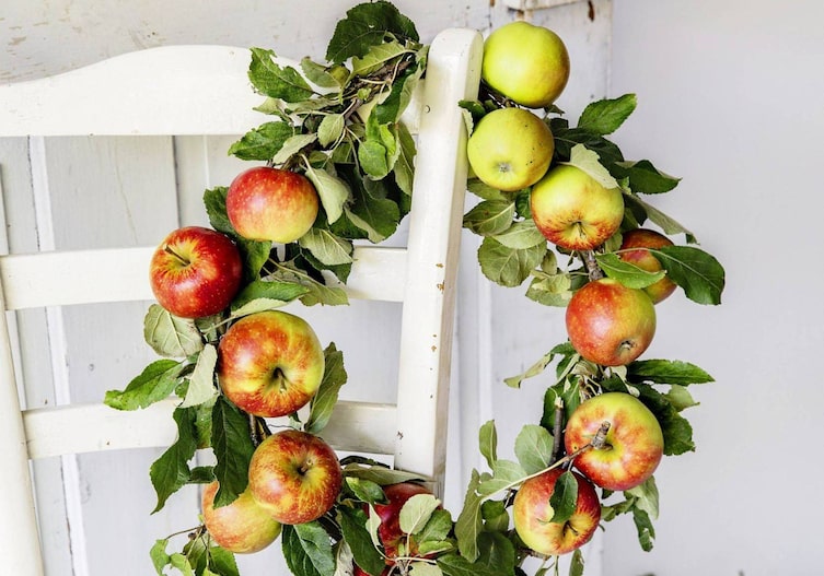 Türkranz, Apfelkranz, Basteln, selbermachen