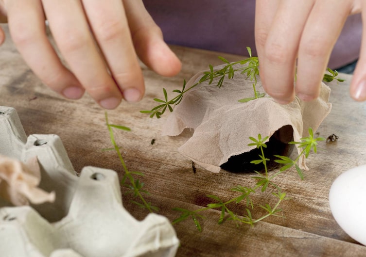 Ostereier mit Zwiebelschalen färben, Ostereier mit Zwiebelschalen färben, Ostereier färben, Ostereier, Färben mit Zwiebelsud