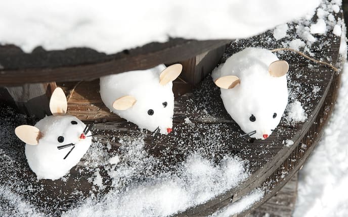 Tiere aus Schnee formen, Schneetiere, Mäuse, Winter, Servus