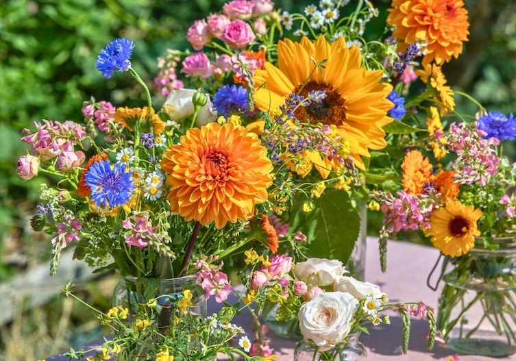 Ein farbenfrohes Arrangement aus sommerlichen Schnittblumen und Wiesenblumen