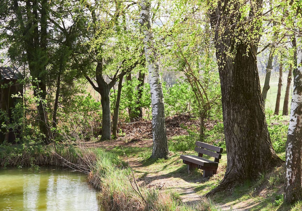 Bank am Ochsenbrunnen in Jois