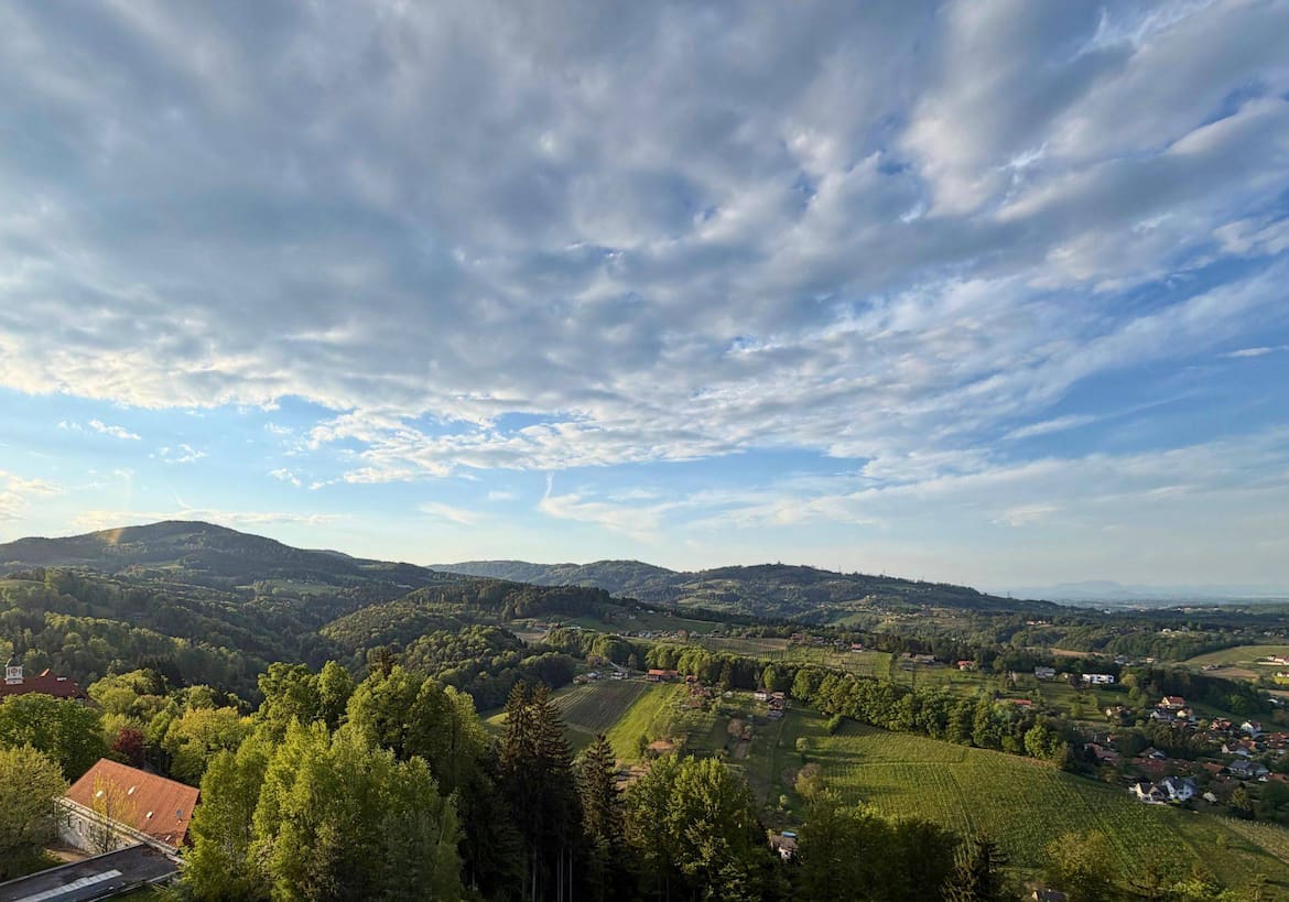 Ausblick von der Aussichtswarte, Hügel, Weingärten