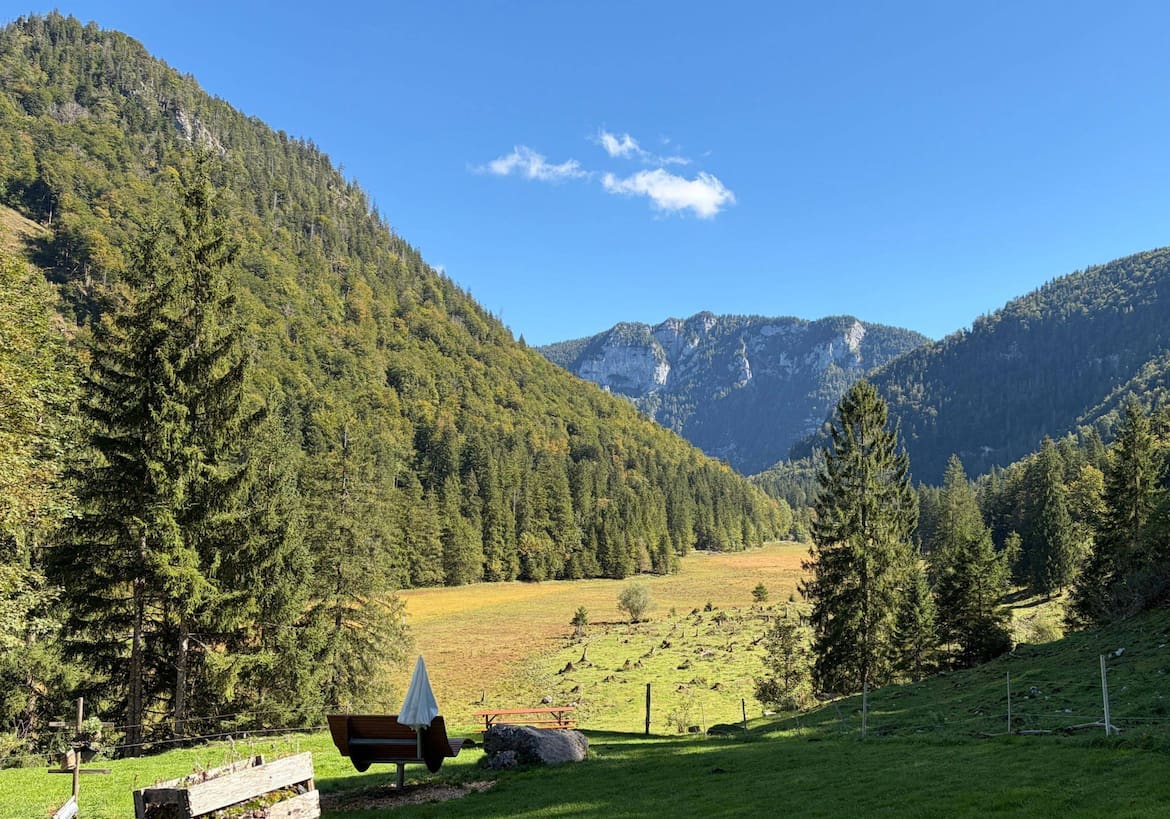 Wilderermoos in Inzell, Almblick