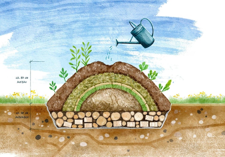 Illustration eines Hügelbeetes; Servus Garten Magazin 2026