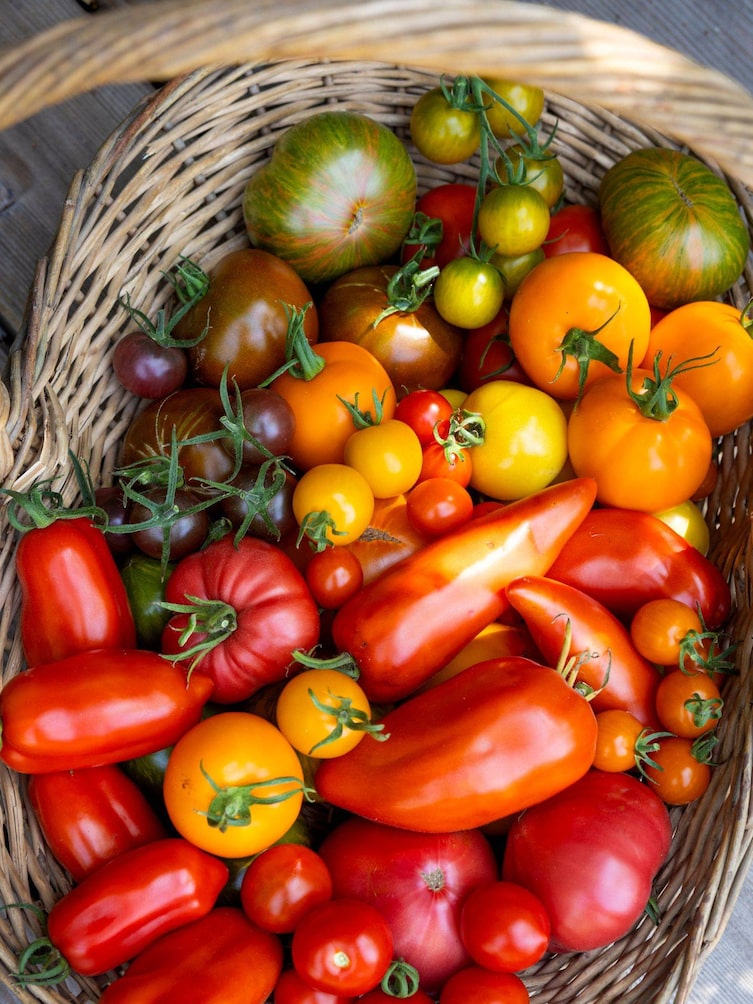 Korb mit verschiedenen Tomatensorten, Servus Garten Magazin 2026
