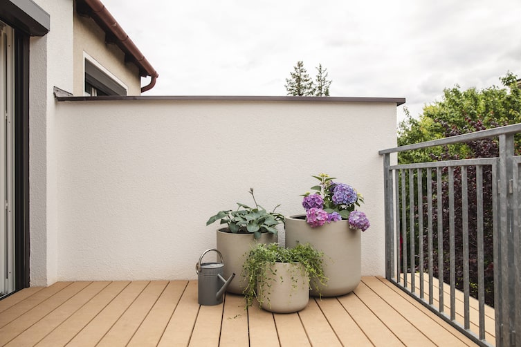 Servus garten Immergrün