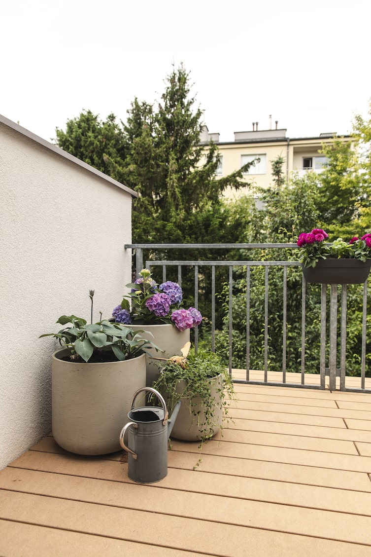 Servus Garten Schattenpflanzen