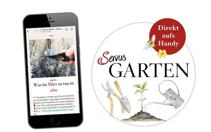 Servus Garten WhatsApp-Kanal