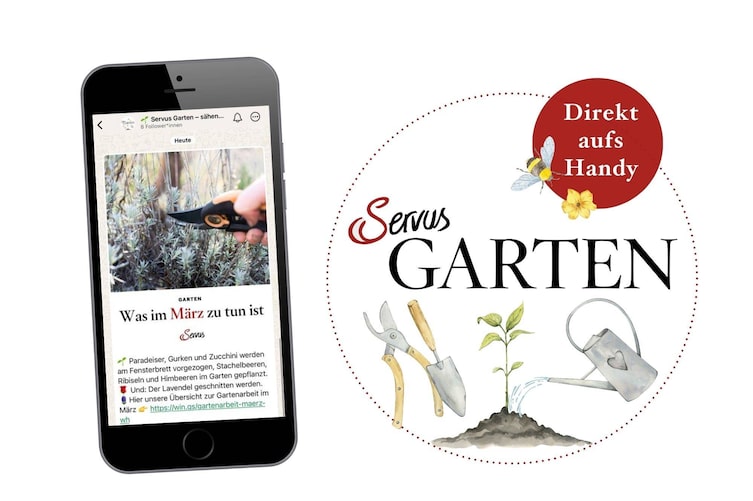 Servus Garten WhatsApp-Kanal