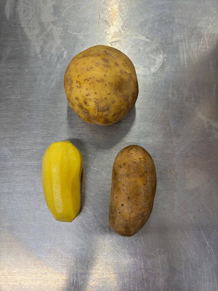 Kartoffelkunde, speckig, mehlig