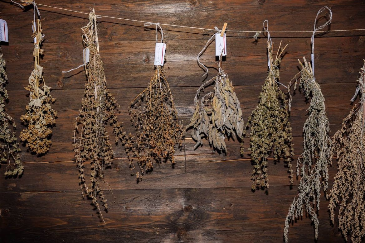 Kräuterworkshop in Ruhpolding