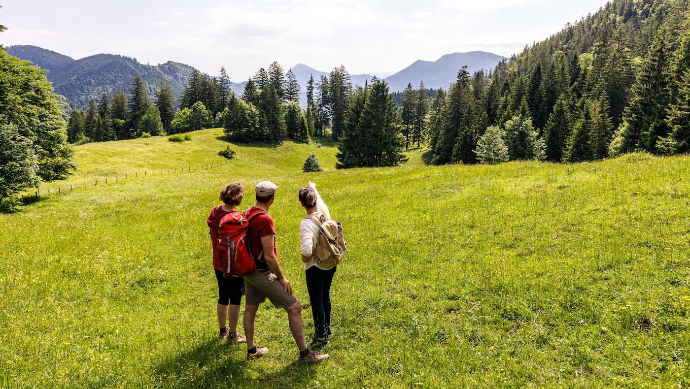 Kraftortwanderung in den Wäldern von Ruhpolding