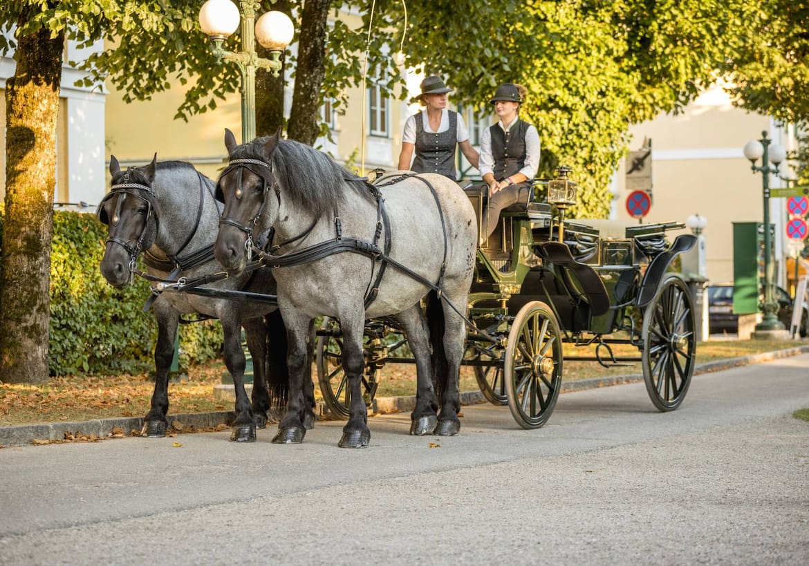 Kutsche mit zwei grauen Pferden in Bad Ischl