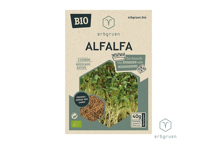 40 Gramm Alfalfa BIO Sprossensamen.