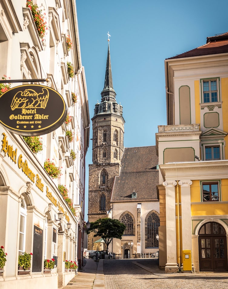 Der Dom St. Petri im Sonnenlicht.