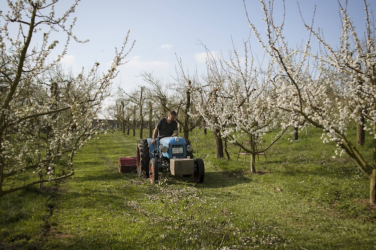 Kirschbauer Roland Schmitt auf einem Traktor.