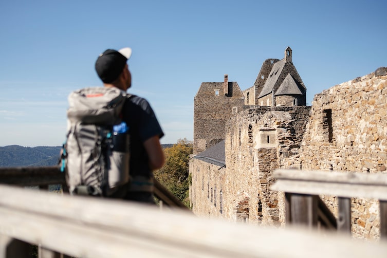 Ein Mann schaut auf die Ruine Aggstein.