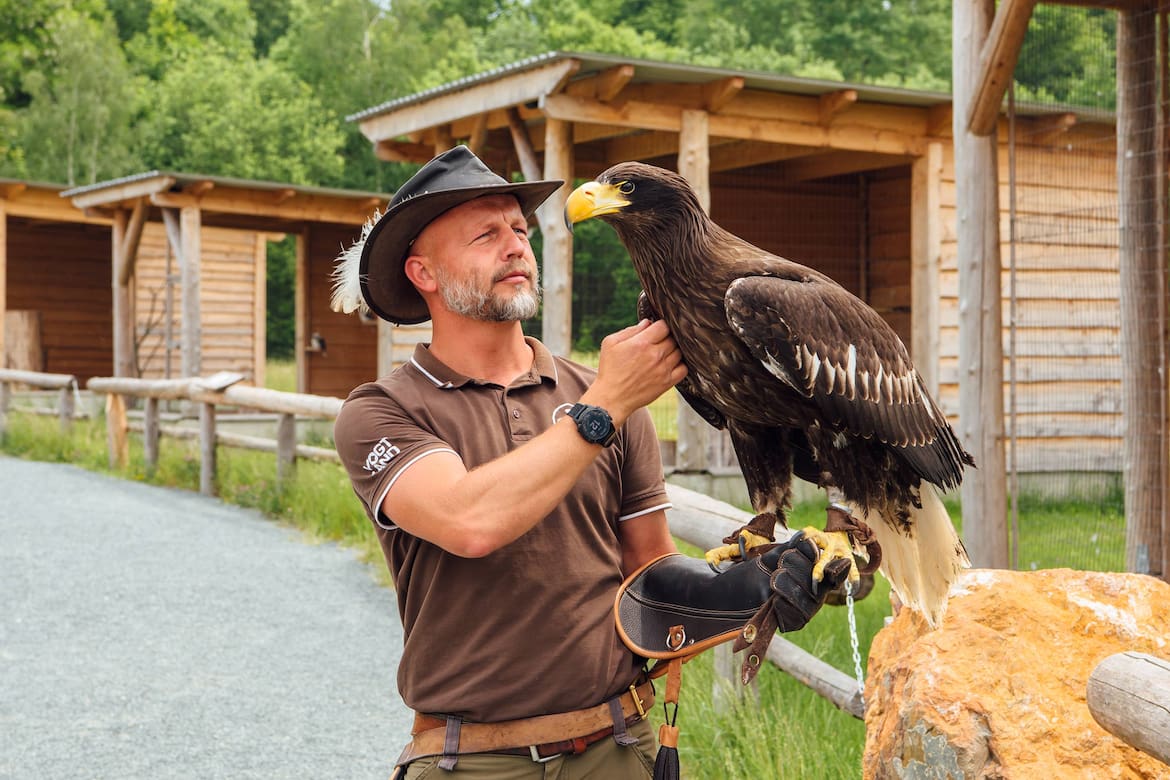 Ein Mann mit Bart hält einen Greifvogel in der Hand.
