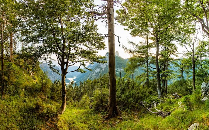 Panoramasicht in Ruhpolding