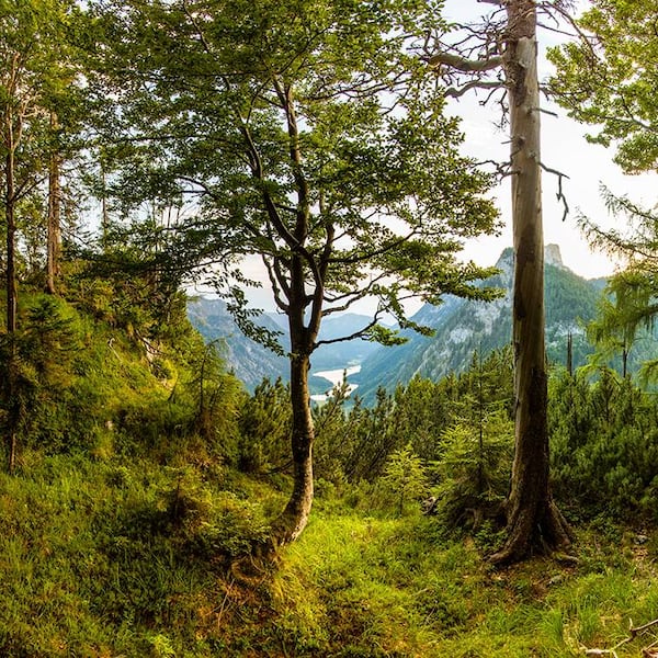 Panoramasicht in Ruhpolding