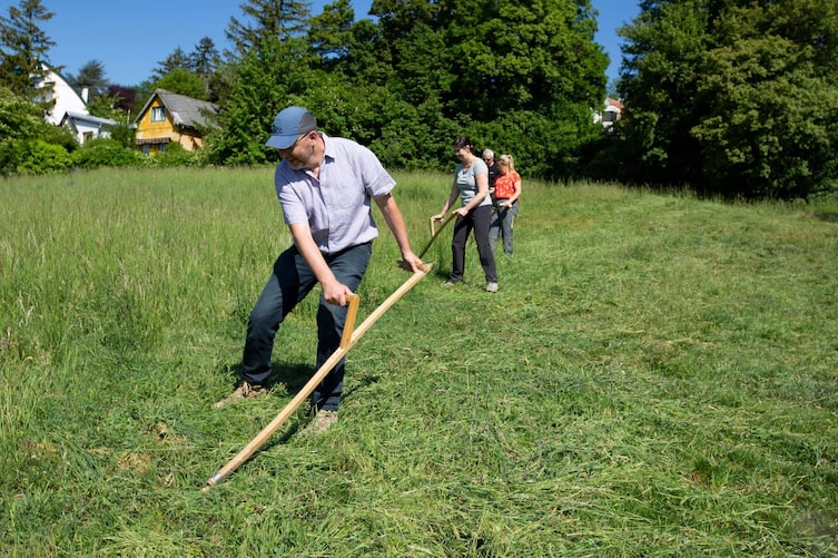 Mehrere Teilnehmer eines Sensenkurses üben mit den Sensen das Mähen.