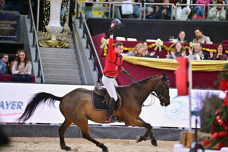 AMADEUS HORSE INDOORS