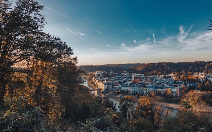 Eingemachtes Hendl mit Gartengemüse - 2:00 h - Rezept - Servus