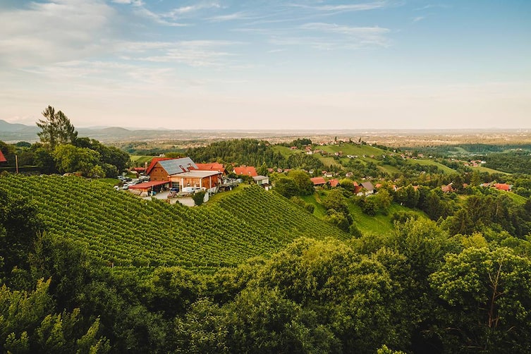 Bei einem Glas Wein das südsteirische Panorama genießen.