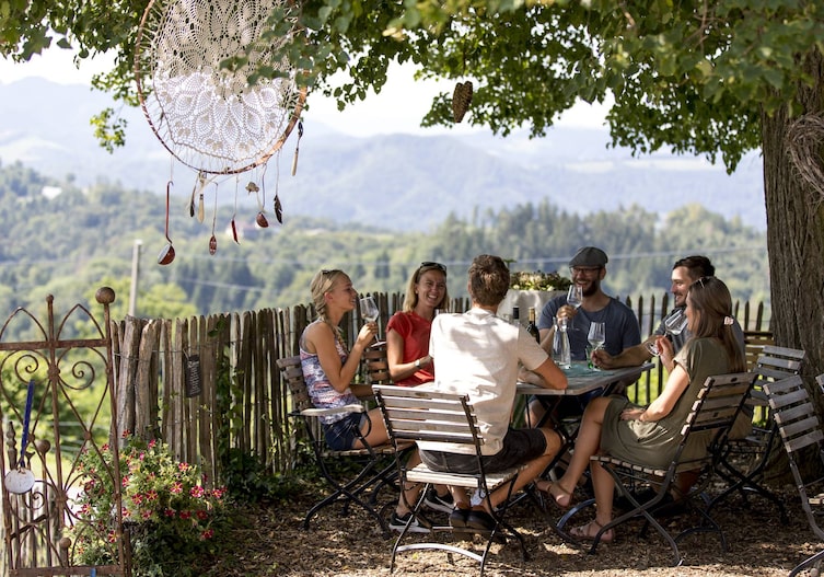 Gruppe trinkt Wein in einer Buschenschank.