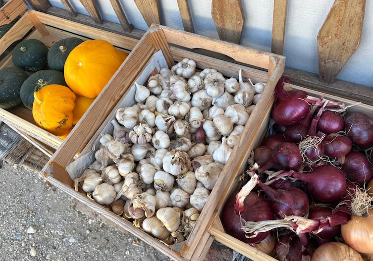 Frisches Gemüse direkt vorm Naturladen Saat und Taat des Naturhofes Felder des Naturhof Tomažej