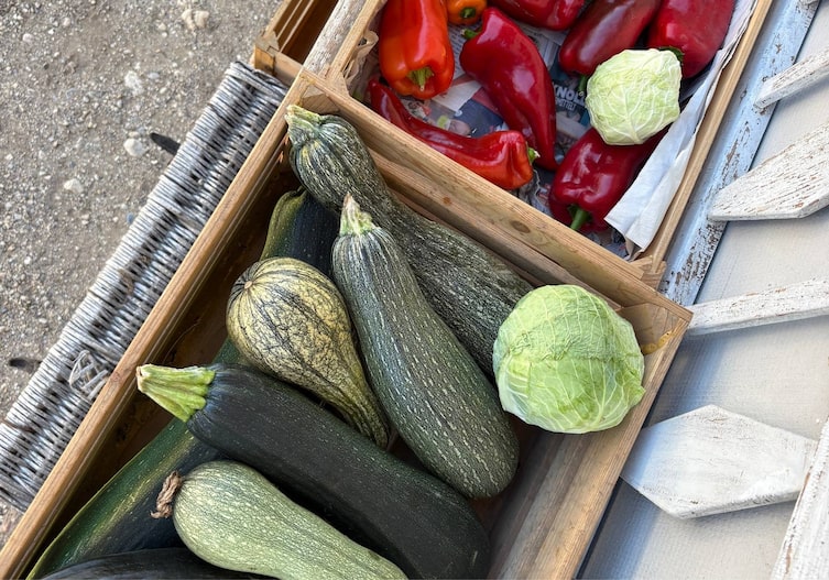 Frisches Gemüse direkt vorm Naturladen Saat und Taat des Naturhofes Felder des Naturhof Tomažej