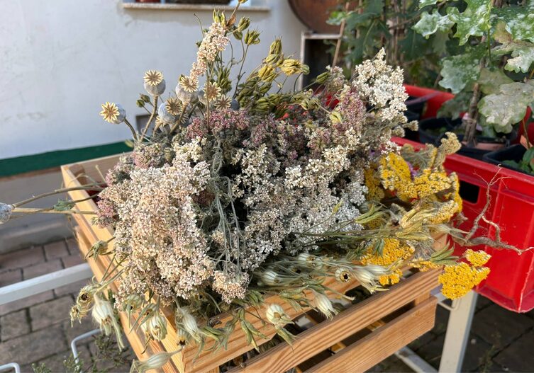 Frische Kräuter und Blumen aus dem Bauerngarten von Daniela