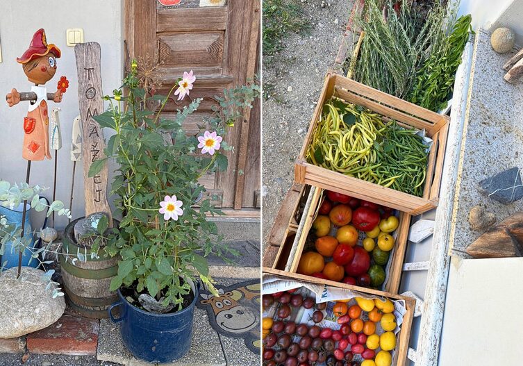 Vorm Hofladen Saat und Taat des Naturhof Tomažej