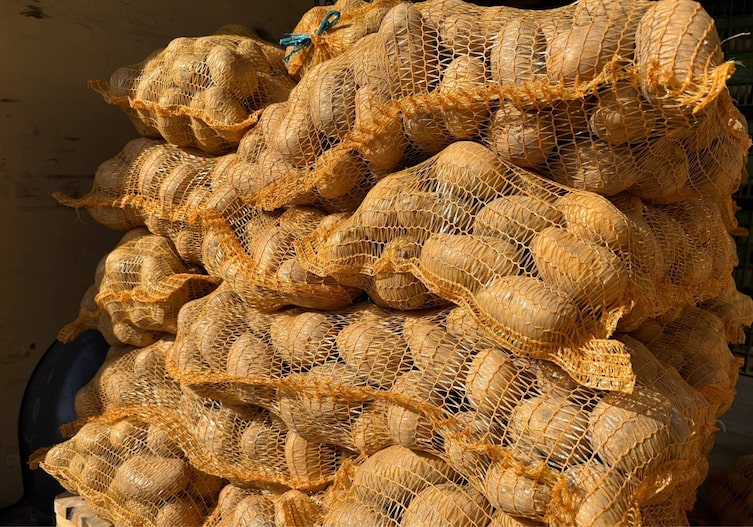 Kartoffeln bereit zur Auslieferung
