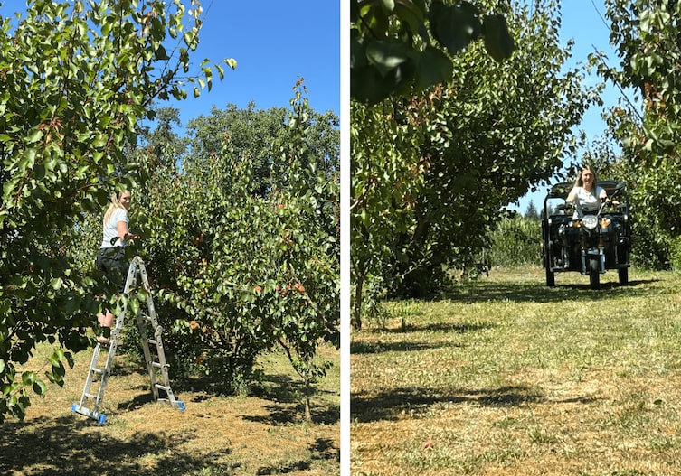 Stall, Felder, Büroarbeit und Obstgarten: Als Bäuerin trägt Magdalena Verantwortung für viele Bereiche.