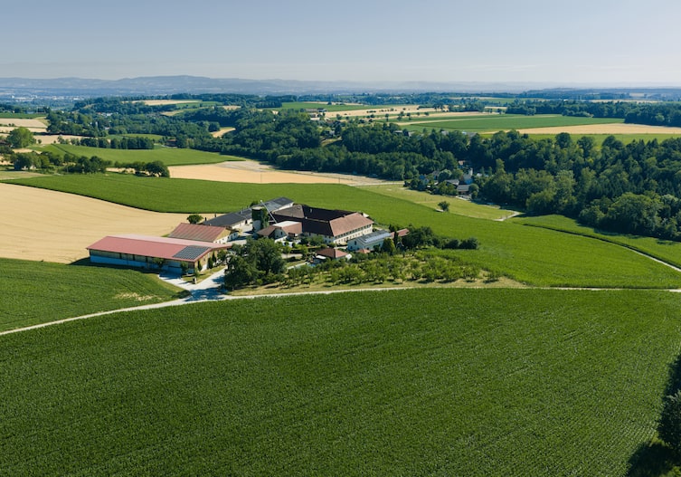 Das Wohlmayergut bei Wels ist von Feldern und dem hofeigenen Marillengarten umgeben.