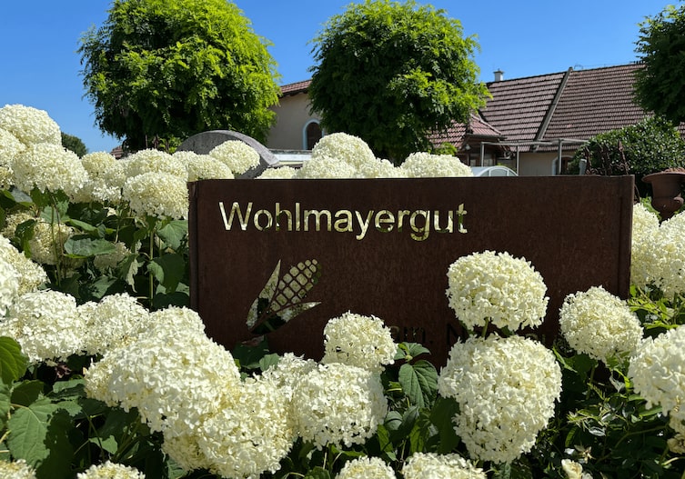 Zwischen weißen Hortensien heißt das Wohlmayergut seine Gäste willkommen.
