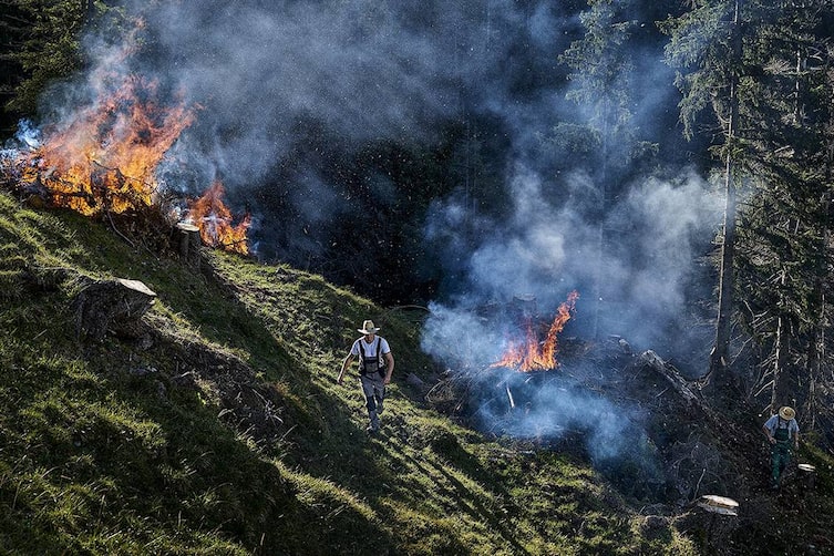 Beim Schwenden werden Wiesen und Almen von Bewuchs befreit, ohne das Wurzelwerk zu beschädigen.