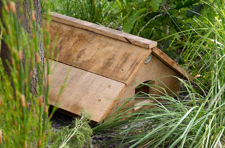 Igeln beim Überwintern helfen: Igelhaus aus Holz (Bild: Mauritius Images)