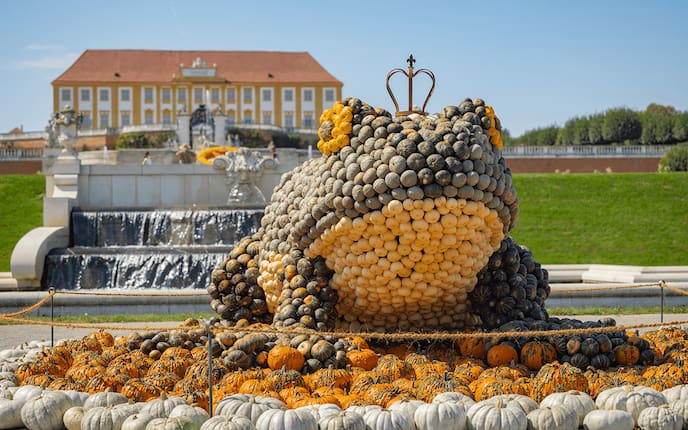 Ein Frosch aus Kürbissen auf Schloss Hof am Herbstfest.