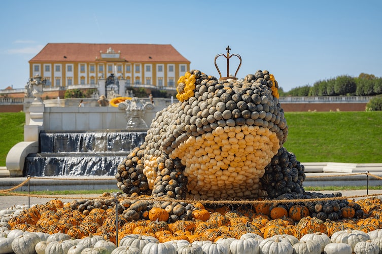 Ein Frosch aus Kürbissen auf Schloss Hof am Herbstfest.