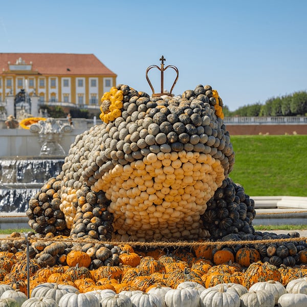 Ein Frosch aus Kürbissen auf Schloss Hof am Herbstfest.