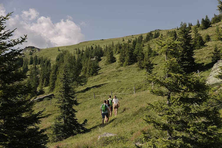 Sommerliche Wanderungen über Almen.
